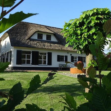 Mimosa Bed & Breakfast In Ijsselmuiden エクステリア 写真