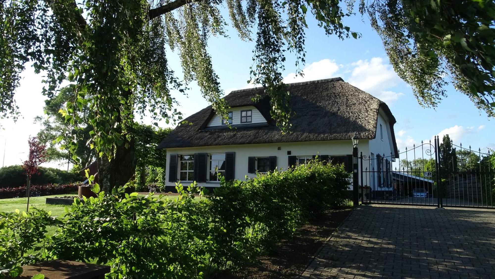 Mimosa Bed & Breakfast In Ijsselmuiden エクステリア 写真